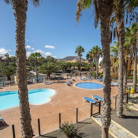 Lightbooking Oasis Royal Corralejo F311 Extérieur photo