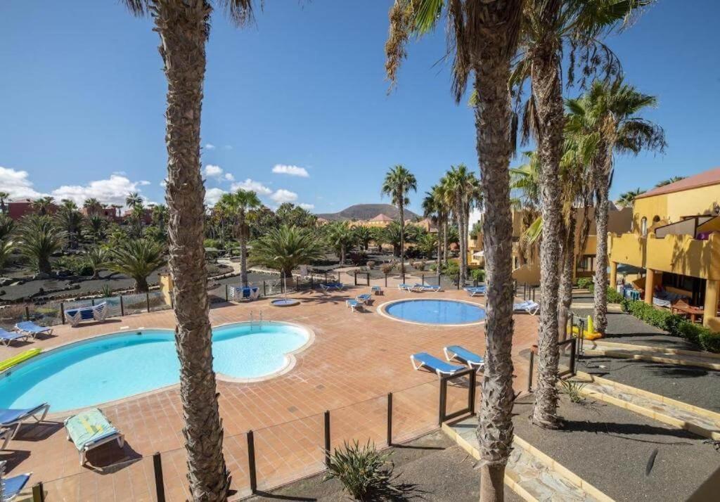 Lightbooking Oasis Royal Corralejo F311 Extérieur photo
