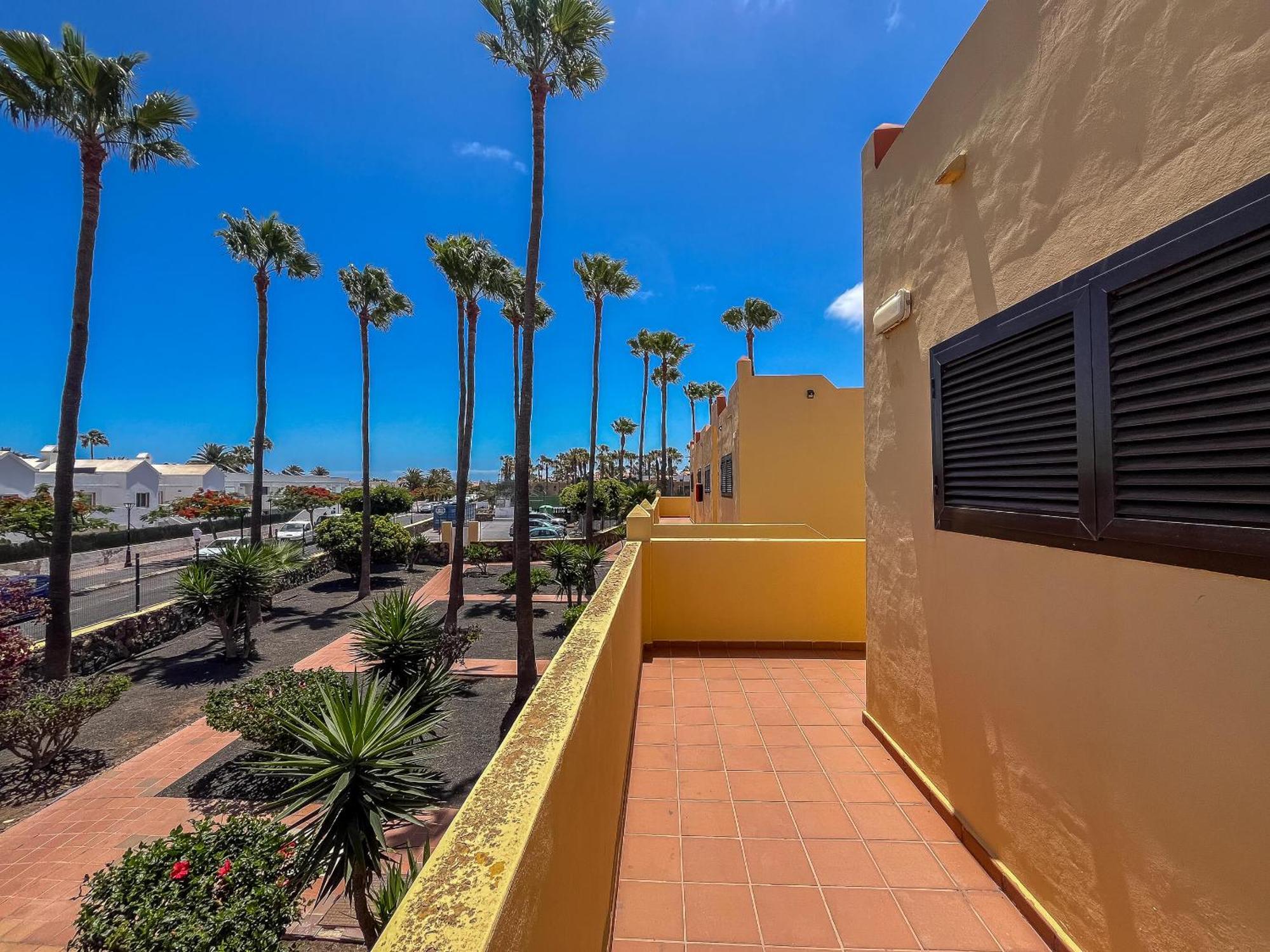 Lightbooking Oasis Royal Corralejo F311 Extérieur photo